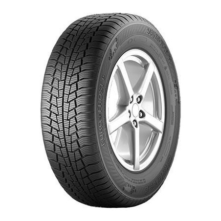 195/65 R15 95 T Gislaved Euro*frost 6