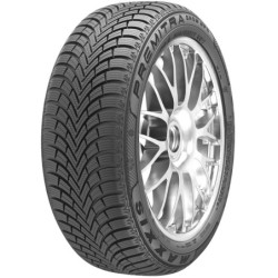 245/35 R19 93 W Maxxis Premitra Snow Wp6