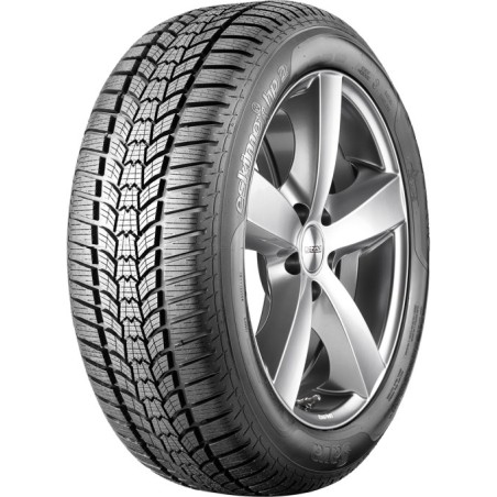 205/55 R16 91 H Sava Eskimo Hp2