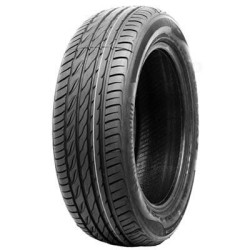 245/45 R18 100 W Delmax  Perform Pro