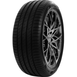 245/35 R21 96 Y Delinte Ds2xl