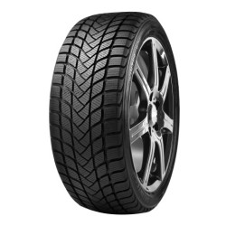 205/55 R17 95 H Delinte Wd6