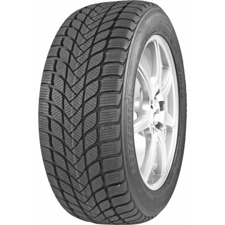185/55 R15 82 H Mastersteel Winter +