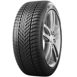 255/40 R19 100 V Dunlop Winter