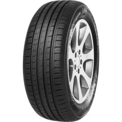 225/60 R16 98 H Minerva F209