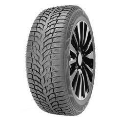 225/55 R16 95 H Double Star Winterking Dw08