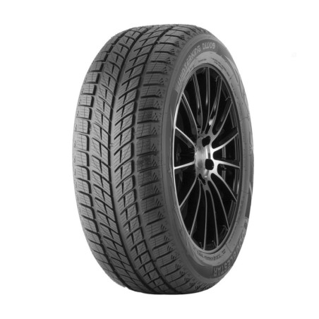 235/55 R17 99 T Double Star Winterking Dw09