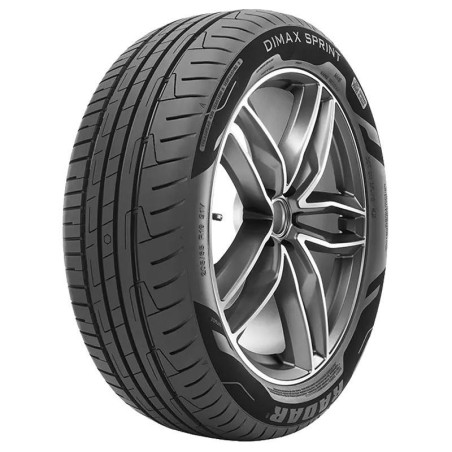 195/60 R15 92 V Radar Dimax Sprint Evc