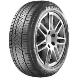 255/40 R19 100 V Autogreen  Winter-max A1-wl5 3pmsf Xl (tl)