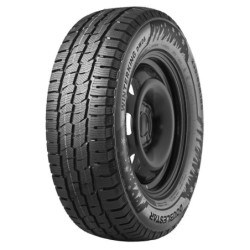 205/75 R16C 110 R Double Star  Winterking Dw06