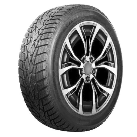 205/60 R16 92 T Autogreen Ice Cruiser Aw01