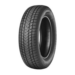 225/50 R17 98 V Gripmax  Suregrip Ewinter