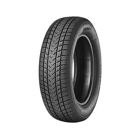 255/60 R20 113 V Gripmax Suregrip E Winter Xl